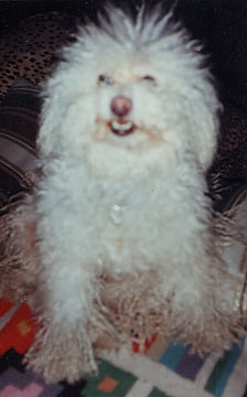 Willie, my life partner